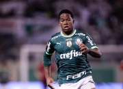 开云体育app-关于柏林联队引进巴西新星，球队实力有望跃升的信息