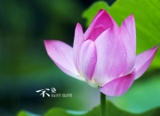 开云体育中国-唯一的布雷默，当城市之心击败格子军团