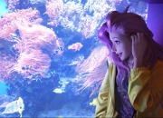 开云体育官网-防守交响曲中的冷面刺客，班凯罗一锤定音，上海队铁血锁死北京队