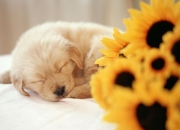 开云体育-锁链与飓风，当多伦多铁壁遇上密尔沃基风暴