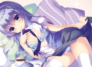 开云官网-切割战术，尼斯如何用伊布这把手术刀收割牙买加防线？