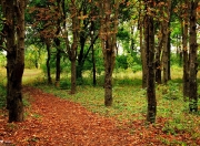 开云体育中国-NBA季后赛焦点战与丹麦的启示，单节爆发如何拉开日本男篮的差距？