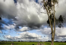 开云体育入口-NBA｜国米双星闪耀，命运十字路口的双重奏！