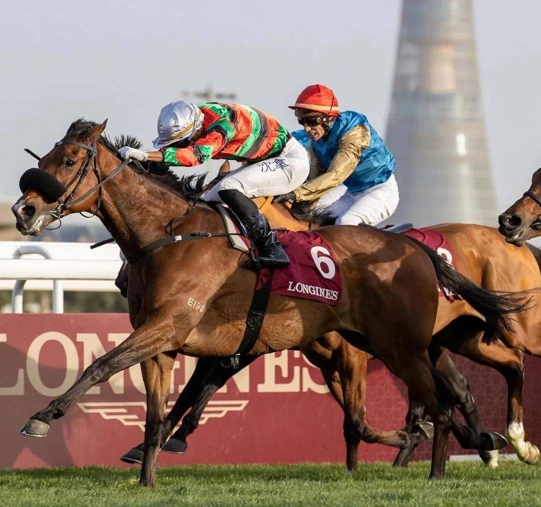 卡塔尔女篮在中东邀请赛上斩获冠军 卡塔尔女篮在中东邀请赛上斩获冠军