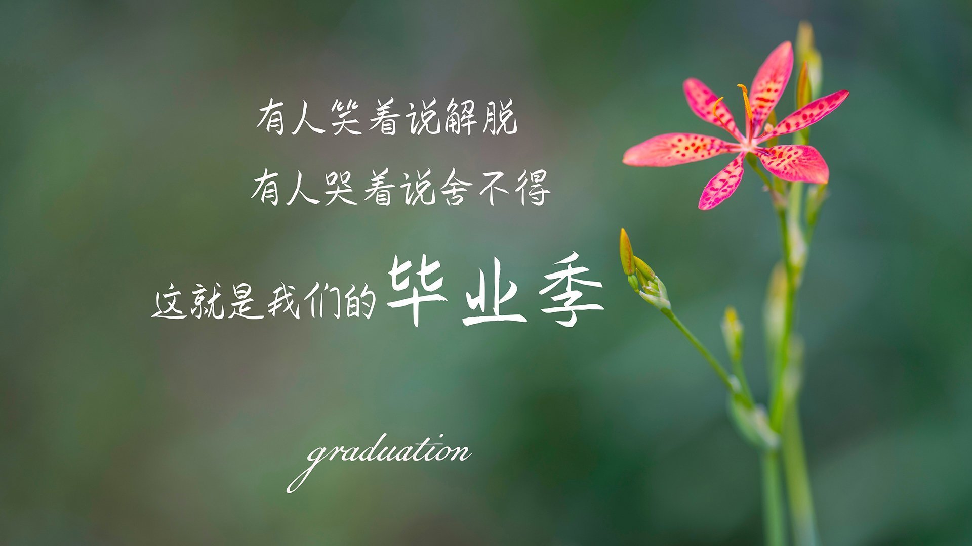 当欧文成为太阳，一场篮球宇宙的交错叙事