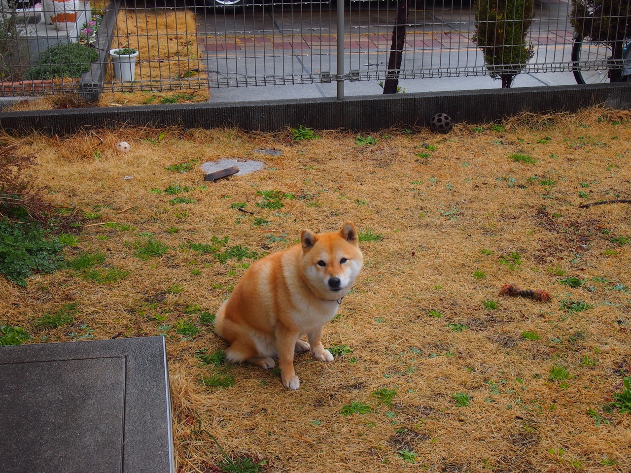 当芬兰在FIFA虚拟绿茵制霸沙特，久保建英用现实足球接管世界排名的战争