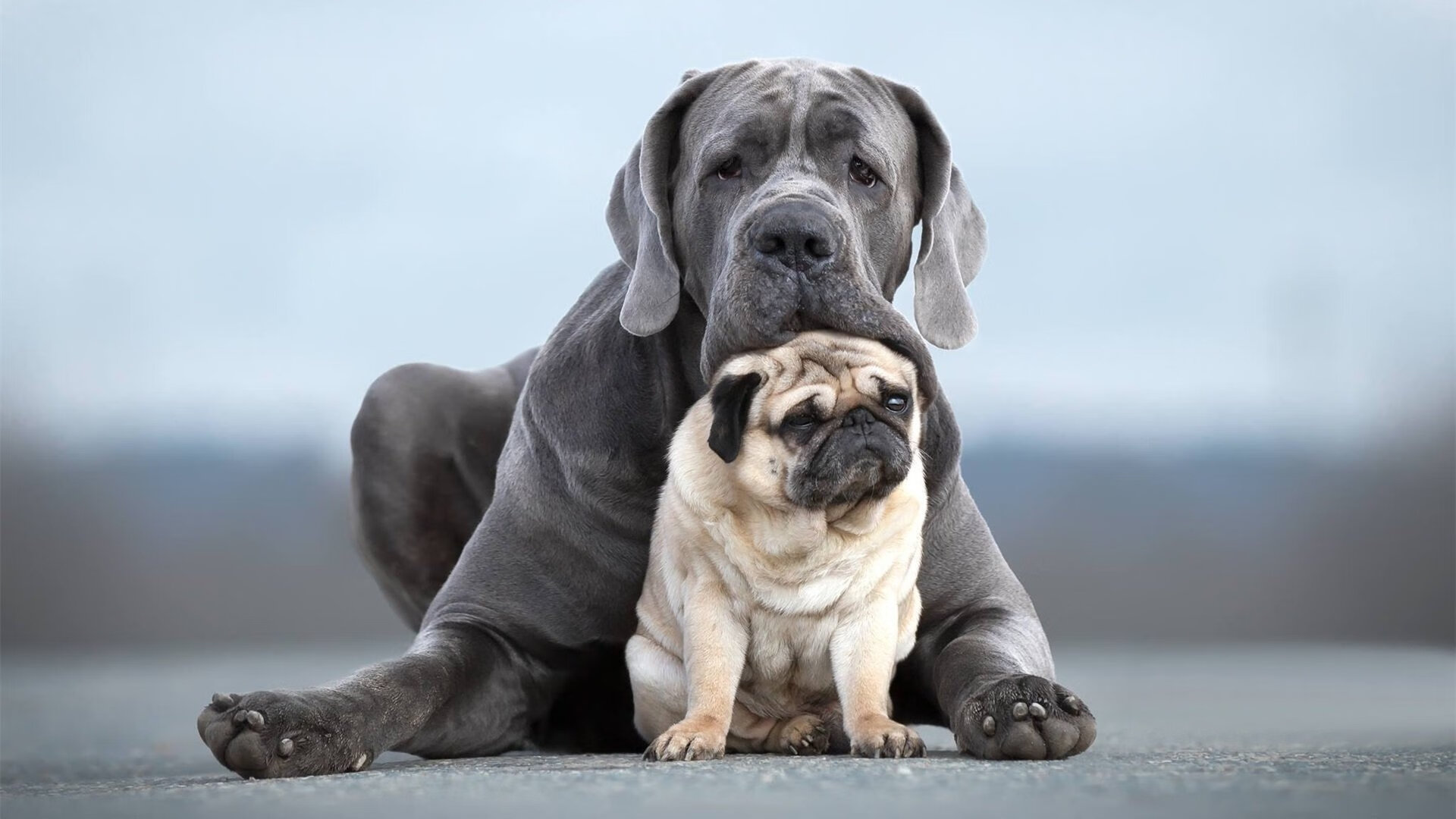 亚洲之光闪耀罗马!三笘薰两传一射率队压制哥伦比亚
