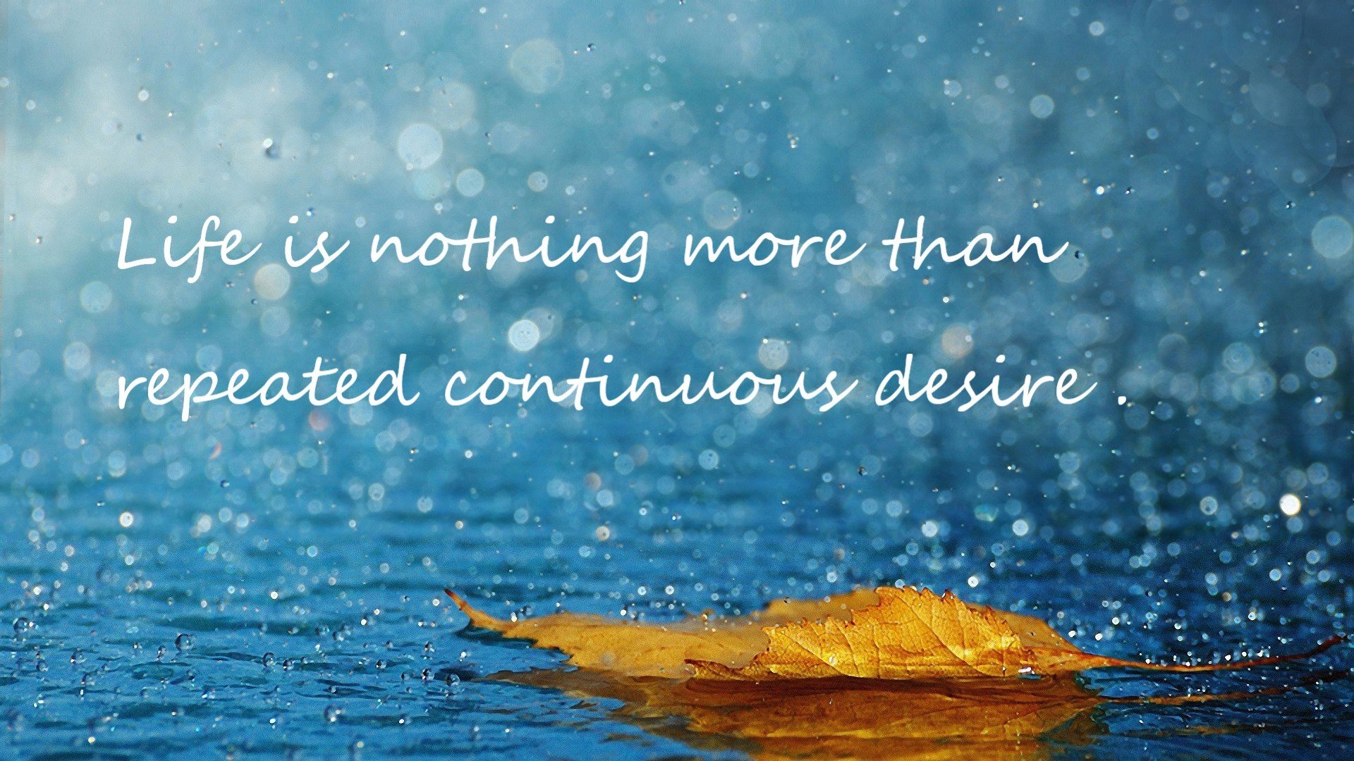 王者新证，从莱万双向统治到法国的系统突围—现代足球的攻防一体革命