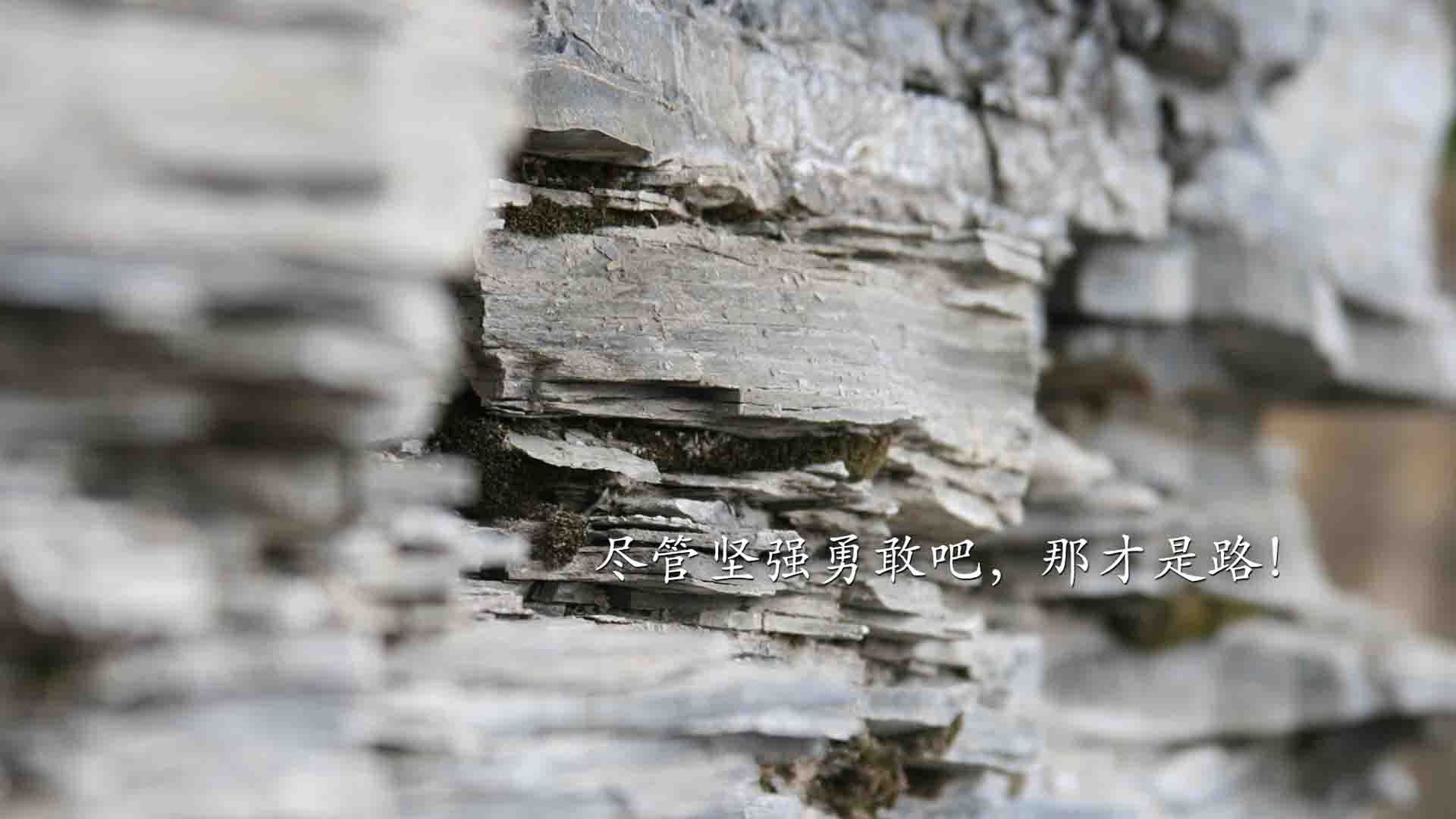 蓝白风暴中的孤岛,2026世界杯A组,智利如何用钢铁防线与节奏压制撕裂澳大利亚,而梅西在时间缝隙中写下不朽诗篇